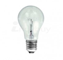 40W/60W ES Clear Bulb